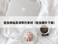 平湖昆虫网站高清照片素材（昆虫图片下载）